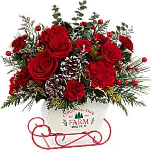 Teleflora's Snow What Fun Bouquet
