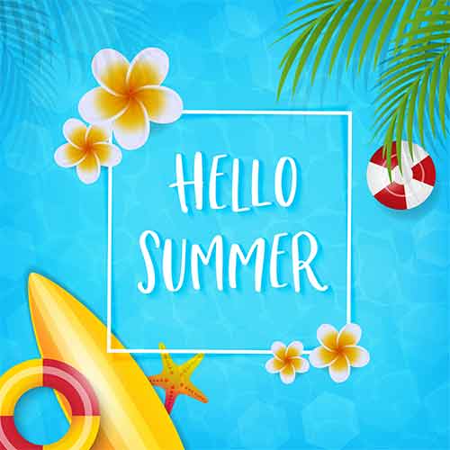 Send Summer Flowers