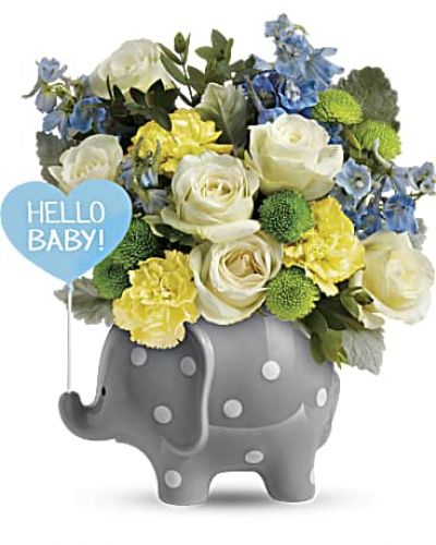 Oh boy! Make baby's arrival feel as special as it is with this gorgeous bouquet of fresh blooms, delivered in a charming ceramic elephant keepsake.