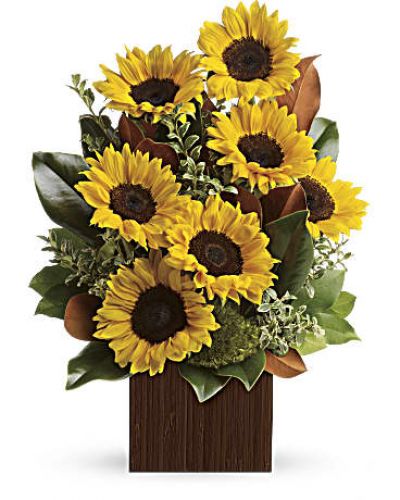 <p>Show her she’s golden with this sunny bouquet, and you can bet you’re golden, too. Stunning sunflowers are mixed with glossy magnolia leaves for a dramatic, day-brightening delivery!<br />
Bold, bright sunflowers are arranged with delicate oregonia, magnolia leaves, lemon leaf and moss.</p>