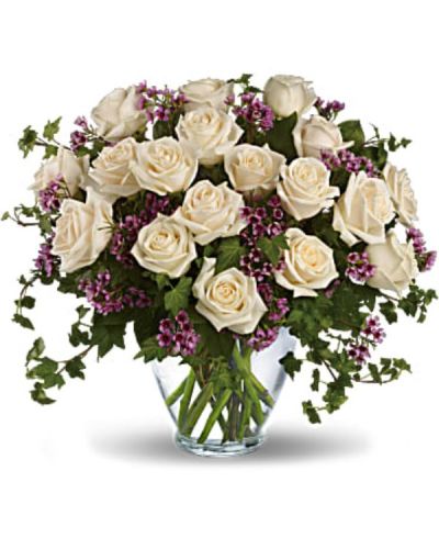 <div id="mark-1" class="m-pdp-tabs-marketing-description">Send an English garden someone's way with this gorgeous arrangement. Tendrils of green ivy trail delicately from a beautiful bunch of creamy roses and purple waxflower for a bouquet that's both traditional and unexpected.</div>
<div id="desc-1">
<ul>
 	<li>One dozen crème roses are mixed with purple waxflower and trailing ivy in an elegant clear glass vase.</li>
</ul>
</div>
