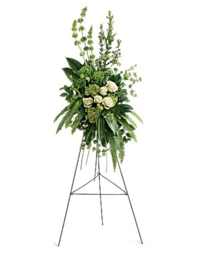 <div id="mark-1" class="m-pdp-tabs-marketing-description">Peaceful white roses and gorgeous green hydrangea create an unforgettably elegant spray that brings a sense of modern tranquility to the service.</div>
<div id="desc-1">
<ul>
 	<li>This tranquil spray of miniature green hydrangea, green roses, green trick dianthus, and bells of Ireland is accented with bupleurum, myrtle, sword fern, variegated aspidistra leaves, aralia leaf, bear grass, and lemon leaf.</li>
</ul>
</div>