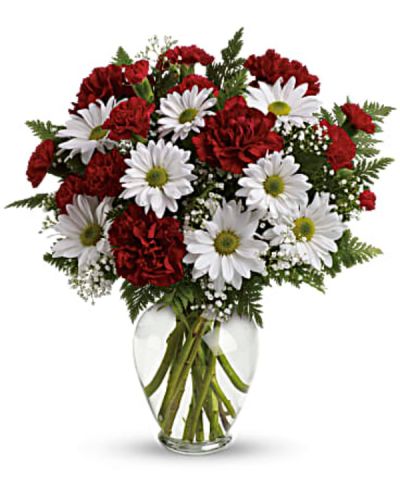 Share your heart's true feelings with this delightful red and white bouquet. A lovely choice on any special day, this charming mix of red and white blooms is a classic show of kindness they'll always remember.
Red carnations, red miniature carnations, white daisy spray chrysanthemums, baby's breath and leatherleaf fern.
Delivered in a spring garden vase.